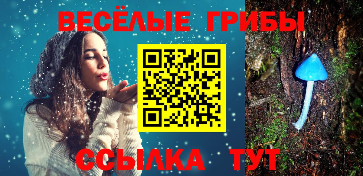 Чусовой  Псилоцибиновые грибы GOLDEN TEACHER  купить закладку  Псилоцибиновые грибы GOLDEN TEACHER  Вход с VPN 