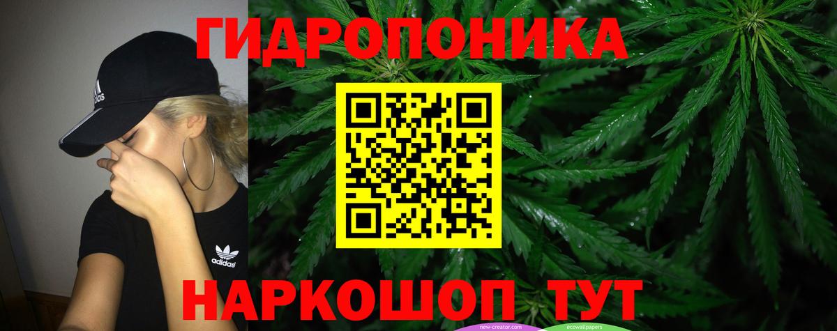 Каннабис Amnesia  Каннабис семена  Чусовой  Вход с VPN  Конопля AK-47 
